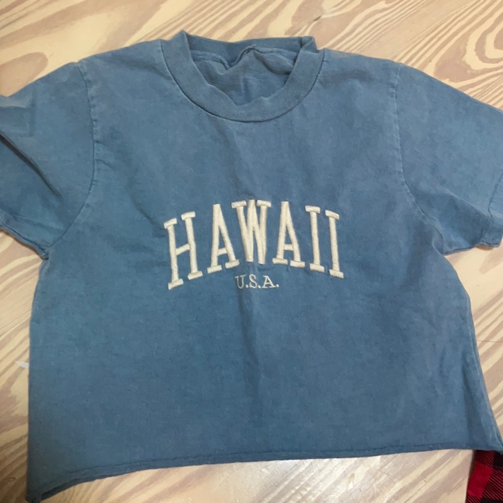 john galt hawaii blue crop top